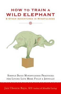 How to Train a Wild Elephant: And Other Adventures in Mindfulness foto