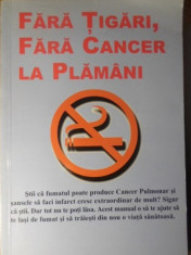 FARA TIGARI, FARA CANCER LA PLAMANI - NECUNOSCUT foto