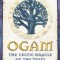 Ogam: The Celtic Oracle of the Trees: Understanding, Casting, and Interpreting the Ancient Druidic Alphabet