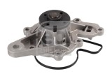 FEBI BILSTEIN 23591 Pompă de apă, răcire motor