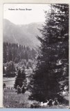 bnk cp Poiana Brasov - Vedere - circulata