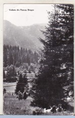 bnk cp Poiana Brasov - Vedere - circulata