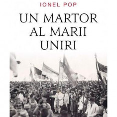 Un martor al Marii Uniri - Paperback brosat - Ion Pop - Corint