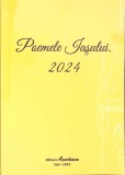 POEMELE IASULUI 2024-COLECTIV-347708