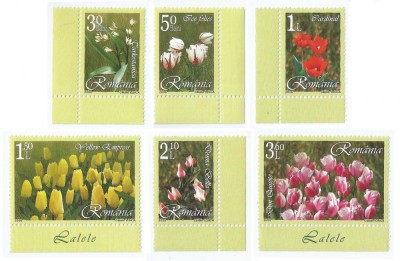 |Romania, LP 1716/2006, Lalele, MNH foto
