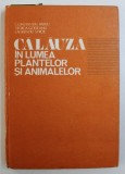 CALAUZA IN LUMEA PLANTELOR SI ANIMALELOR de CONSTANTIN PARVU, STOICA GODEANU, LAURENTIU,STROE 1985