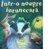 Intr-o noapte intunecata