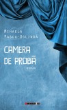 Camera de proba | Mihaela Pascu-Oglinda, 2019, Eikon