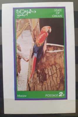 OMAN PASARI PAPAGFALI bloc nestampilat foto