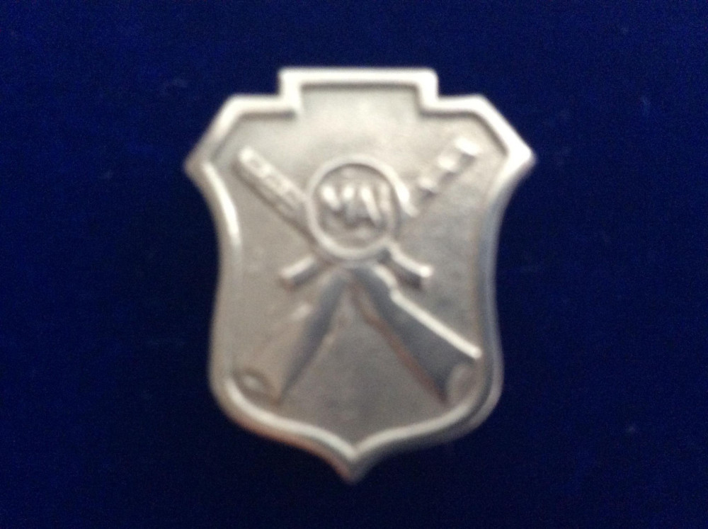 Insignă -Semn de armă-Securitate si Trupe de Securitate -MAI (argintiu cu  șurub) | Okazii.ro