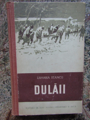 DULAII -ZAHARIA STANCU foto