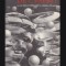 La danse de l&#039;esprit / Ou Le sens deploye (Unfolding meaning) David Bohm