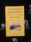 Dominique Wolton - Internetul