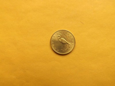 Ungaria 5 Forint 1993 foto
