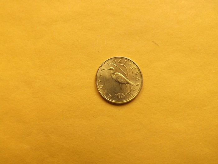 Ungaria 5 Forint 1993