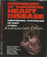 Morphology Of Congenital Heart Disease - Robert H. Anderson, Anton E. Becker foto