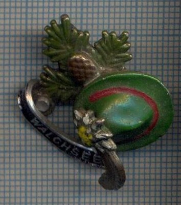 AX 191 INSIGNA-TURISM MONTAN-FLOARE DE COLT-PALARIE DE PADURAR -WALCHSEE-AUSTRIA foto