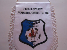 Fanion fotbal - PANDURII TARGU-JIU foto