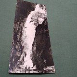Cumpara ieftin CARTE POSTALA GIGANT CHEILE OLTETULUI CIRCULATA