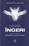 Ovidiu Dragos Argesanu Despre ingeri Intrebari si raspunsuri Spiritualitate Ezoterism Carte 2023 Brosata Romana