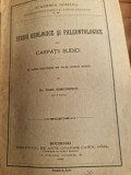 Ioan Simionescu - Studii Geologice si Paleontologice din Carpatii Sudici. III Fauna Calloviana din Valea Lupului (Rucar)