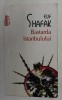 BASTARDA ISTANBULULUI de ELIF SHAFAK , 2012