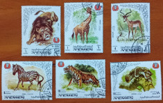 YEMEN(Regat)-&amp;#039;&amp;#039; FAUNA-SALBATECA&amp;#039;&amp;#039;-Serie 6v-stamp. foto