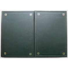 Dictionar medical (2 volume) (coperta putin uzata)