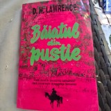 Baiatul din pustie - D. H. Lawrence