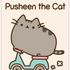 I Am Pusheen the Cat