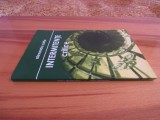 A. Zotta - Intermitente critice