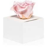 RoseAmor Pink trandafir stabilizat &icirc;n cutie 1 buc