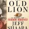 The Old Lion: A Novel of Theodore Roosevelt