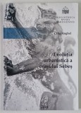 EVOLUTIA URBANISTICA A ORASULUI SEBES de CALIN ANGHEL , 2011