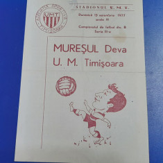 program UM Timisoara - Muresul Deva