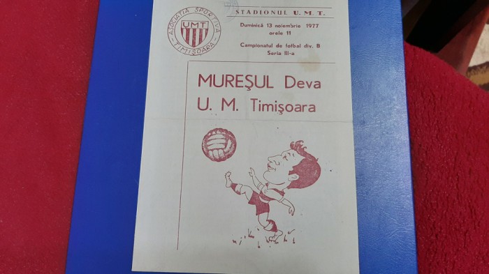 program UM Timisoara - Muresul Deva