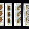 Romania 2010 Fauna Ocrotita Delta Dunarii Strip de 3 Serii Complete MNH LP 1868