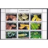 SURINAME 2008 FAUNA REPTILE SERPI