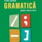 Limba romana. Gramatica pentru clasa a VII-a, Nicoleta Ionescu