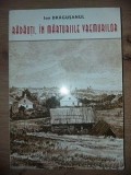 Radauti, in marturiile vremurilor- Ion Dragusanul
