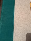PERSONALITATEA PROFESORULUI ROMAN I. Sulea Firu 1939, Alta editura