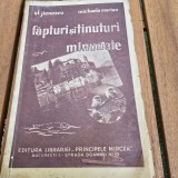Fapturi si tinuturi minunate - St. Jienescu, Michaela Marian