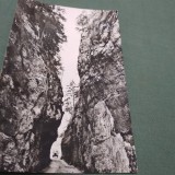 Cumpara ieftin CARTE POSTALA IN CHEILE DIMBOVICIOAREI NECIRCULATA