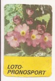 Calendar Vechi - LOTO - PRONOSPORT 1984