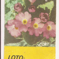 Calendar Vechi - LOTO - PRONOSPORT 1984