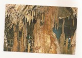 RF110 - Carte Postala - Pestera Ursilor. Chiscau - Bihor, necirculata