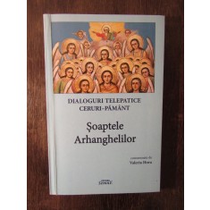 DIALOGURI TELEPATICE CERURI-PAMANT , SOAPTELE ARHANGHELILOR -VALERIA HOREA
