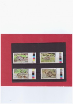 WWF 456=VIETNAM 2010-Serie de 4 timbre nestampilate -Fishing cat foto