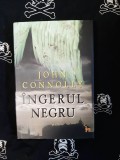 John Connolly - Ingerul negru