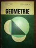 Geometrie- Edwin E. Moise, Floyd L. Downs